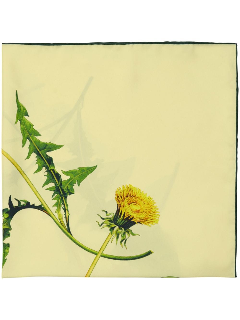 Burberry Sjaal met bloemenprint - Geel