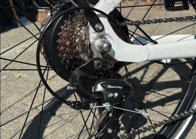 Fiido C11 derailleur