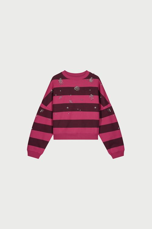 Fabienne Chapot Trui CLTSWE14AW256602