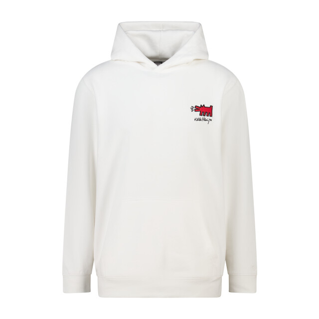 America Today Storm hood