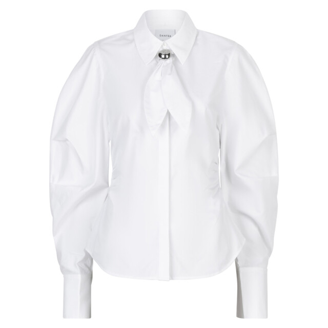 Dante 6 Blouse lange mouw 261240 eneva