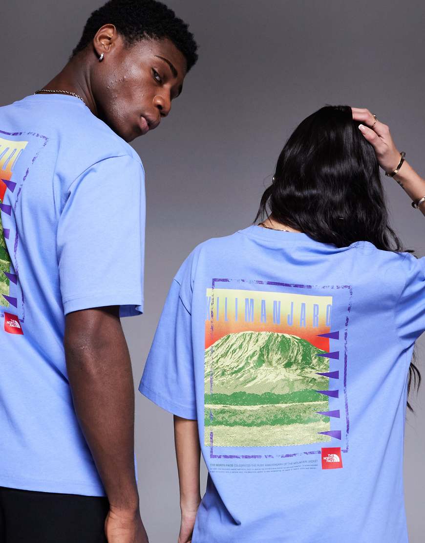 The North Face - Kilimanjaro - T-Shirt in Blau mit Oversize-Rückenprint, unisex