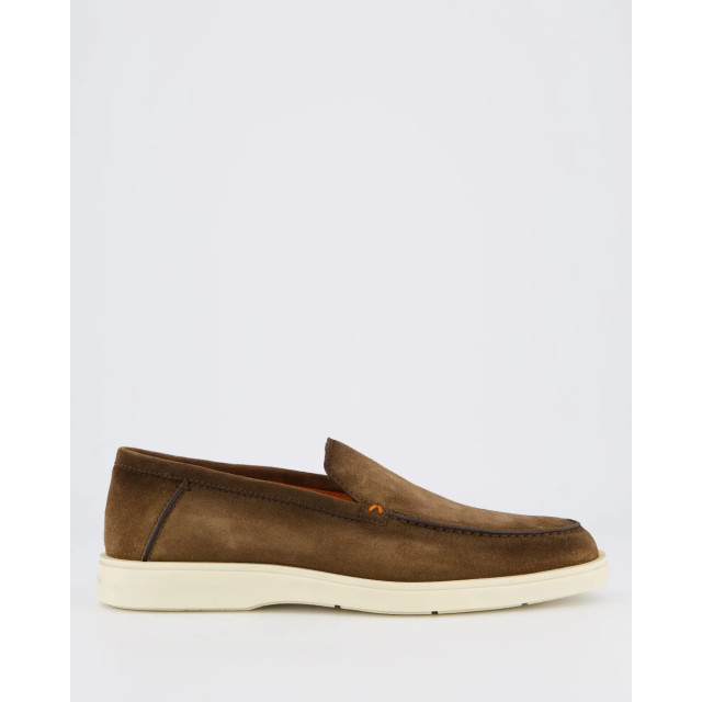 Santoni Heren botanist