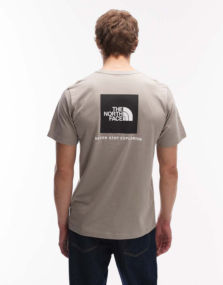The North Face - Evolution NSE Box - T-Shirt in Grau