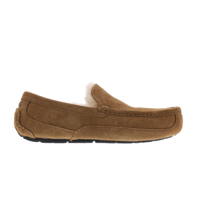 UGG Australia Heren ascot