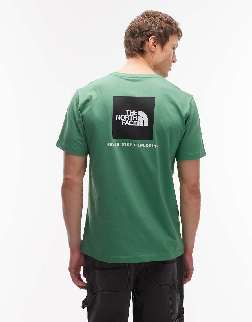 The North Face - Evolution NSE Box - T-Shirt in Grün