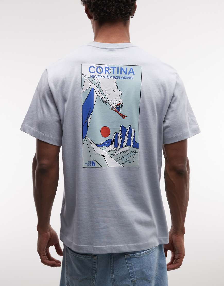 The North Face - Mountain Celebration - T-Shirt in Grau mit Rückenprint